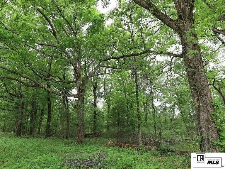 0 FOREST CEMETERY ROAD, PIONEER, LA 71266, photo 1 of 18