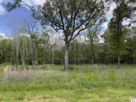 LOT 14 ACADIAN DRIVE, RAYVILLE, LA 71269, photo 4 of 4