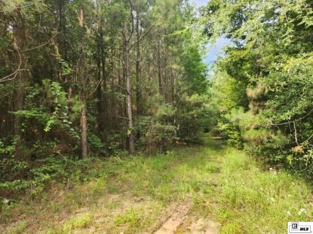 40 ACRES ELLISON ROAD, STRONG, AR 71765, photo 1 of 6